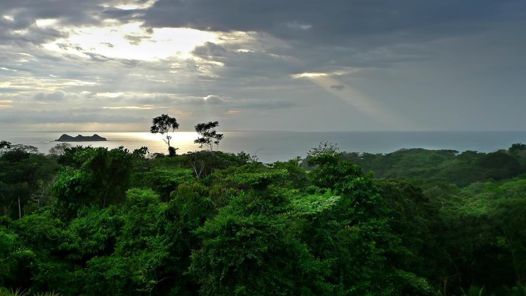 Cristal Ballena Boutique Hotel & Spa Uvita Ngoại thất bức ảnh
